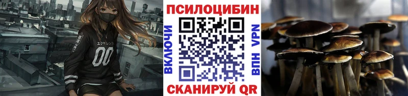 Псилоцибиновые грибы Psilocybe  Саратов 